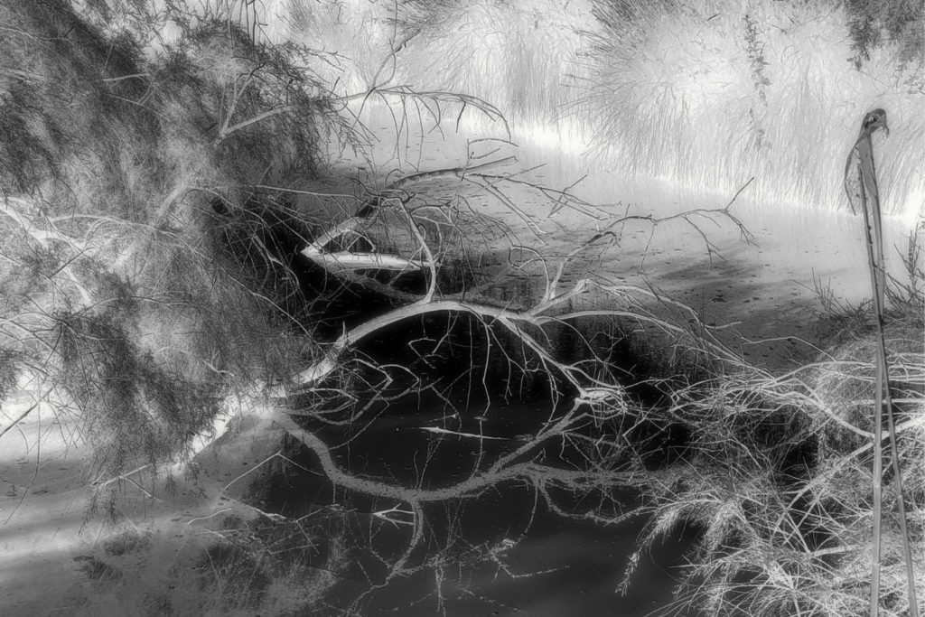 Branches dans l'eau-Reflets Nina Aragon Créatrice d'images Photos Art 