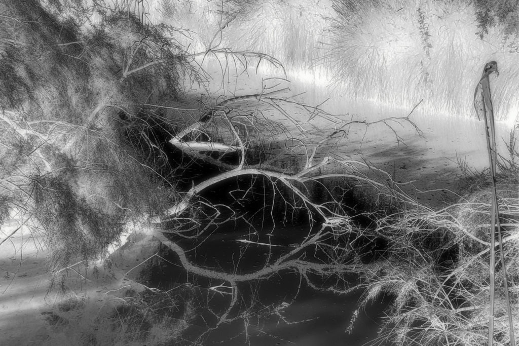 Branches dans l'eau-Reflets Nina Aragon Créatrice d'images Photos Art